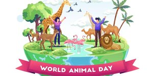 Afrikana - World Animal Day in ZOO Bratislava